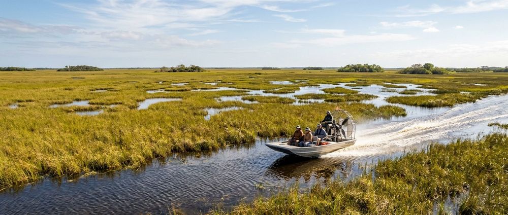 Everglades Airboat Tours from Fort Lauderdale